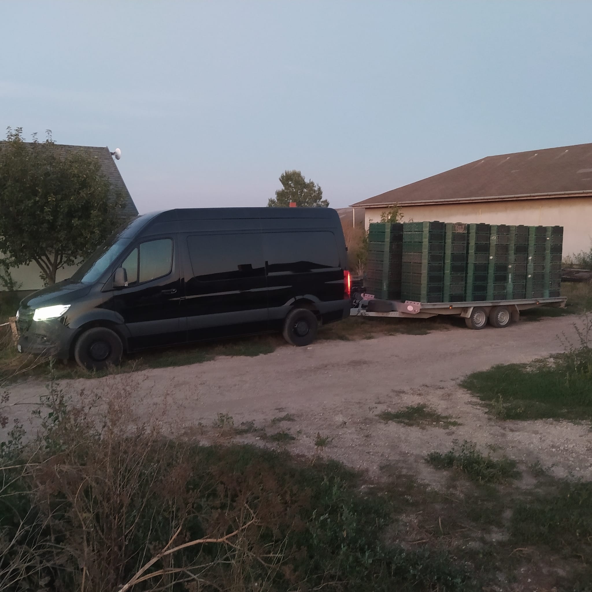 Fasanen Transport
